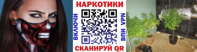 Наркошоп купить СК  КОКАИН  MDMA  МАРИХУАНА  ГАШ  Меф  Трёхгорный