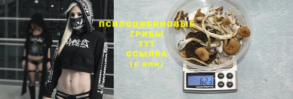 ГАЛЛЮЦИНОГЕННЫЕ ГРИБЫ Володарск