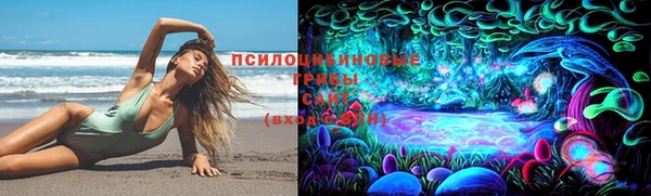 тгк Волосово