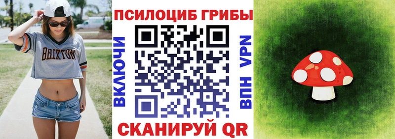Псилоцибиновые грибы GOLDEN TEACHER  Купить  Трёхгорный 